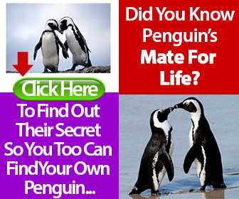 Penguin Method review video